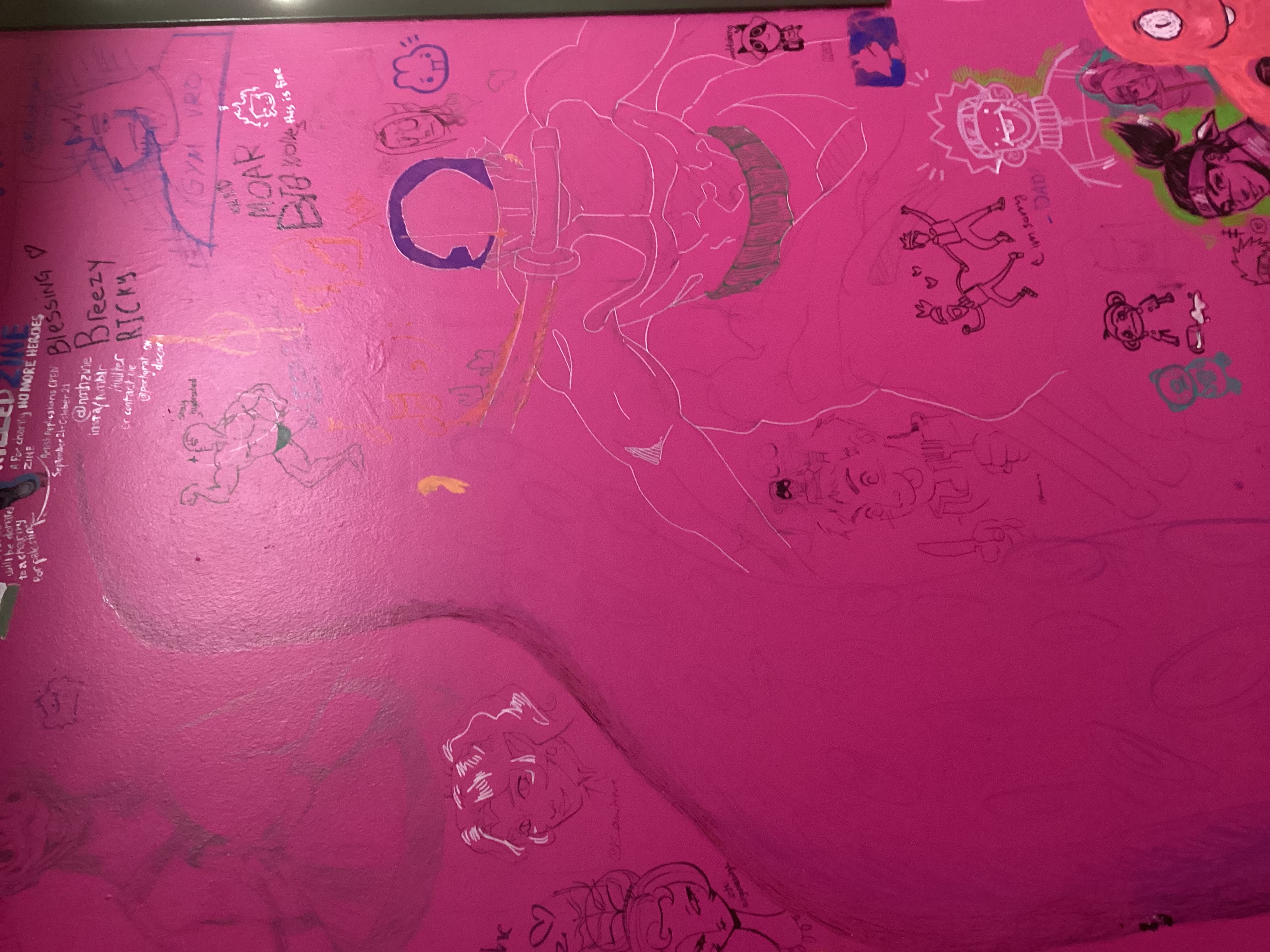 2nd mural of wall in the hallway